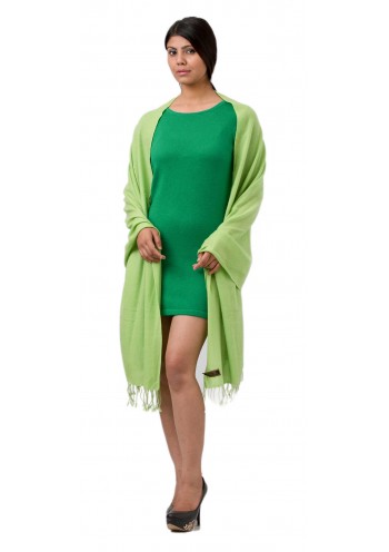 Spring Green Three-Quarter Sleeve Cashmere Slip-On Dress